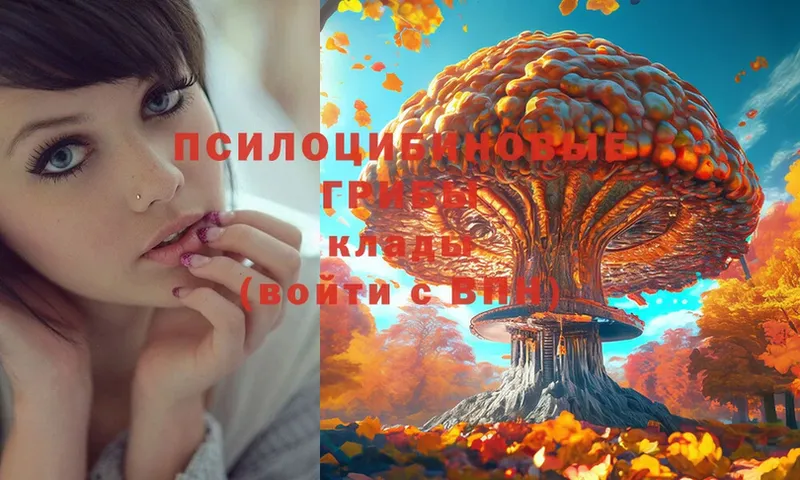 Галлюциногенные грибы MAGIC MUSHROOMS  Опочка 